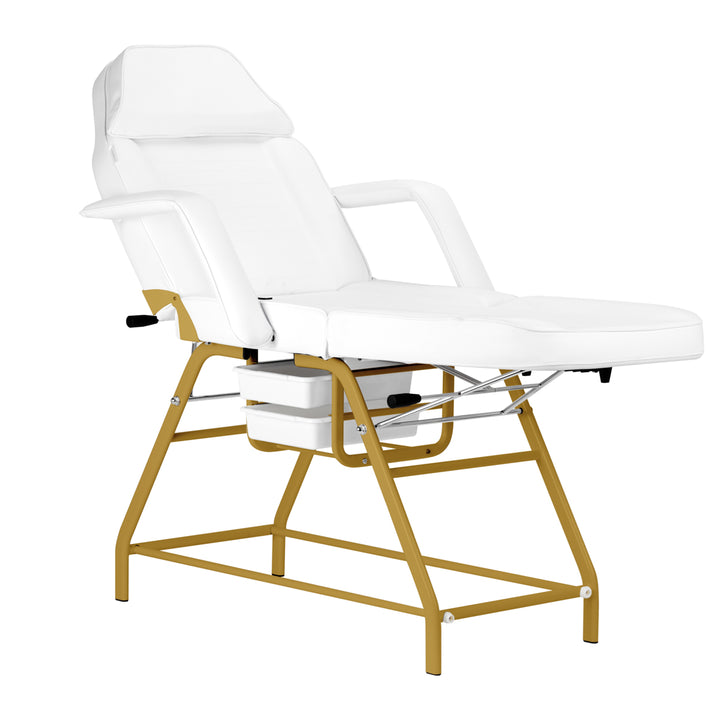 Behandelstoel 557G met Trays Goud-Wit 3